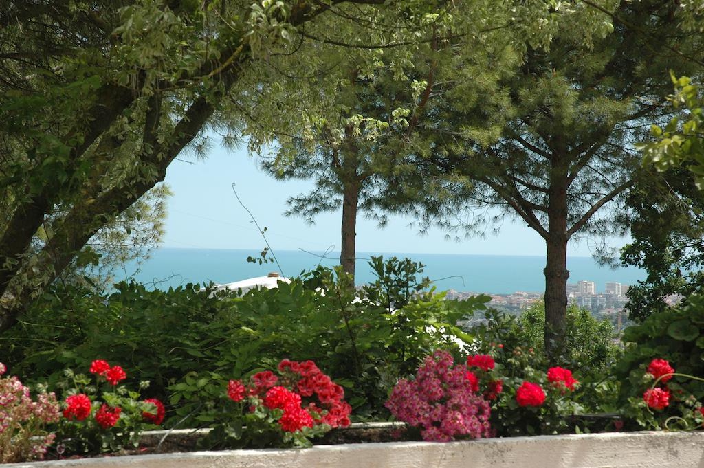 Colle Moro - B&B Villa Maria Città Sant'Angelo Eksteriør billede